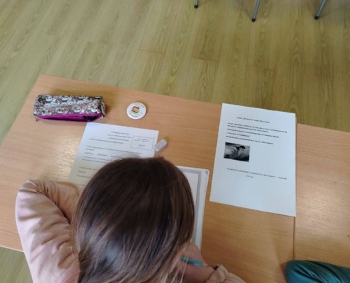 649754327_1447816133795665_7135568348860479892_n