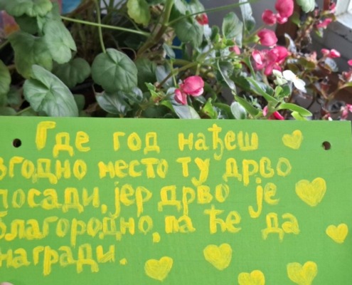 653241122_1456972709546674_3713264899085741660_n