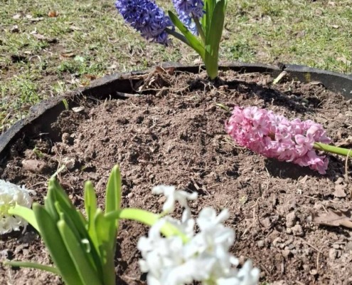 655692423_1456972492880029_6324949927573925794_n