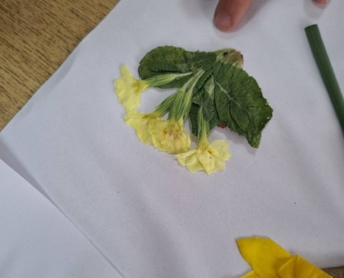 655787162_1456972656213346_3008002217934396075_n